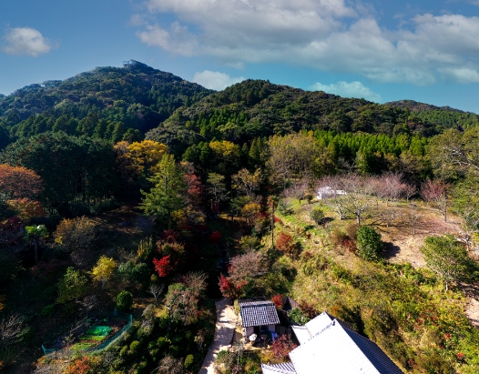 里山で学ぼうイメージ画像